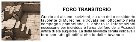 Foro Transitorio